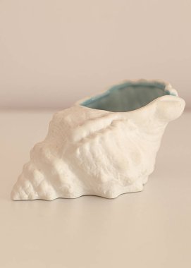 Beyaz arka planda deniz kabuğu, yaz konsepti, deniz teması, seçici odaklanma