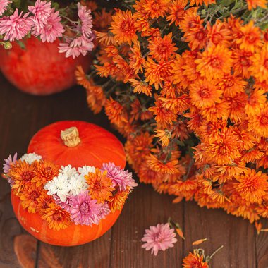Kahverengi arka planda balkabağı ve çiçeklerin sonbahar kompozisyonu. Görüntü, seçici odaklanma. sonbahar kartı 