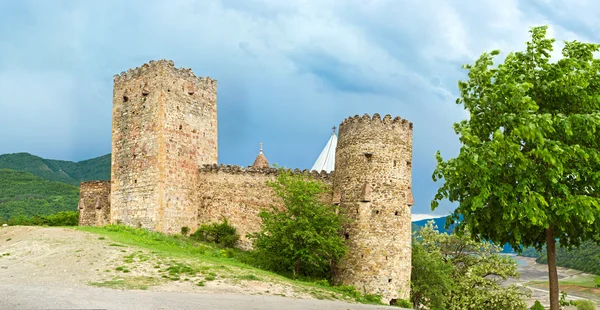 Panorama del Castello con Chiesa nella regione del Caucaso vicino a Tbilisi, Georgia — Foto Stock