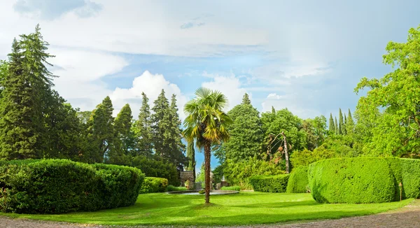 Panorama of beautiful nature in Georgia - park with green trees — Stock Photo, Image