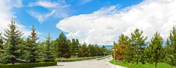 Panorama av vacker natur i Georgien - park med gröna träd — Stockfoto