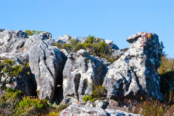 Duże skały na Górę Stołową w cape town, Republika Południowej Afryki — Zdjęcie stockowe