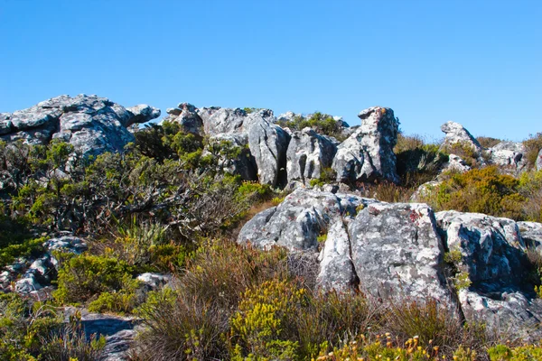 Duże skały na Górę Stołową w cape town, Republika Południowej Afryki — Zdjęcie stockowe