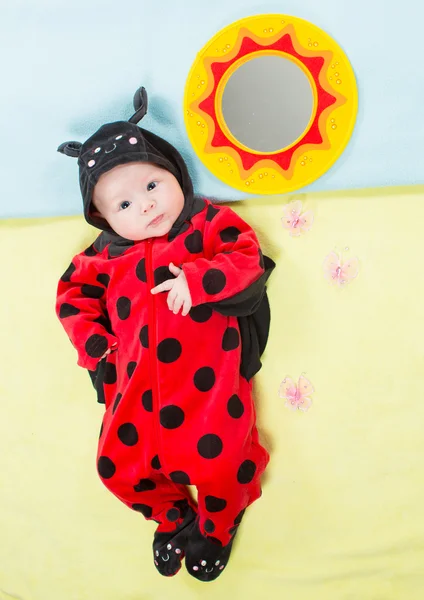 Yeşil renkli çocukluk ve tatil kavramı üzerinde ladybug Kostüm giymiş, tatlı bebeğim — Stok fotoğraf