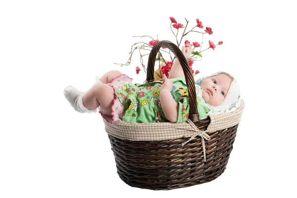 Belle fille bébé dans un panier isolé sur fond blanc — Photo