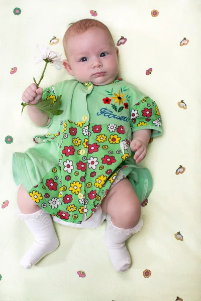 A cute newborn little baby girl with flower Use it for a child, parenting or love concept — Stock Photo, Image