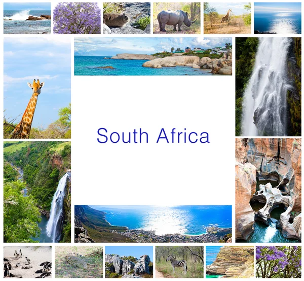 Collage d'animaux sauvages africains, diversité de la faune dans le parc Kruger, fond de collection à thème naturel, belle nature d'Afrique du Sud, aventure animalière et voyage — Photo