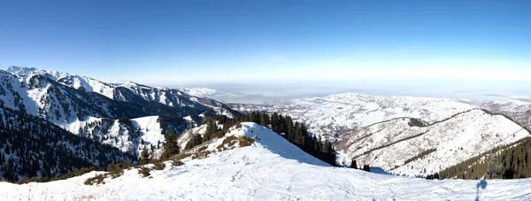 Panorama do inverno nevado na floresta de montanha. Lugar incrível para a atividade esporte extremo e escalada em Almaty, Cazaquistão, Ásia — Fotografia de Stock