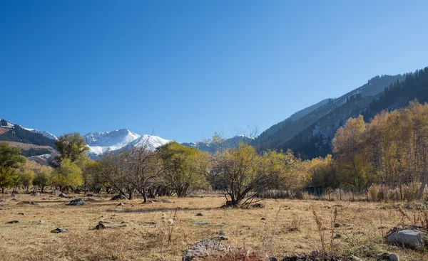 Panorama natury i góry wąwozu kaskelen w Ałma-Ata, Kazachstan — Zdjęcie stockowe