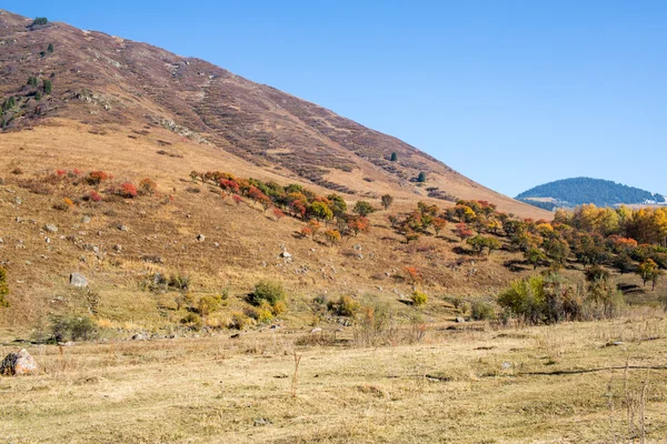 Panorama of the nature of the Kaskelen gorge in Almaty, Kazakhstan — Stock Photo, Image