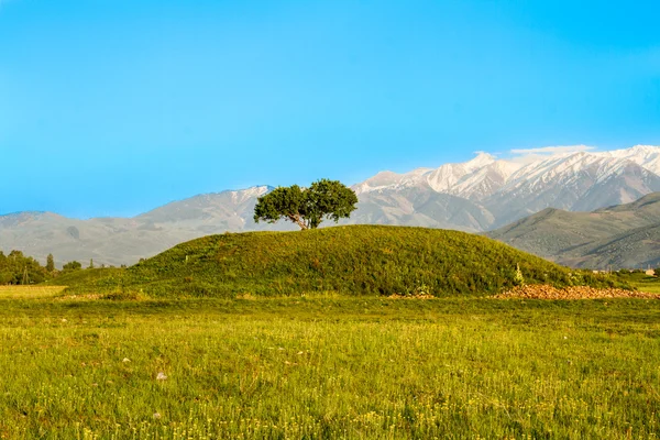 Één boom en bergen, hemel in Kazachstan, Alma-Ata, weg in issyk. beeld bij spring — Stockfoto