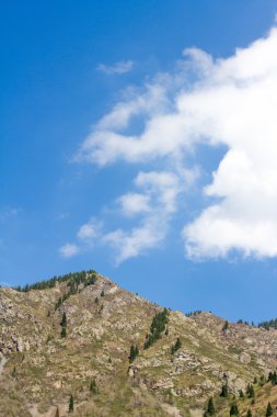doğa köknar ve Yeşil dağlar ve Almatı, Kazakistan'ın mavi gökyüzünde