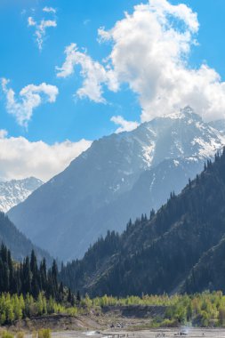 doğa köknar ve Yeşil dağlar ve Almatı, Kazakistan'ın mavi gökyüzünde