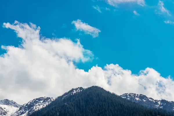 Natureza do abeto e montanhas verdes e céu azul em Almaty, Cazaquistão — Fotografia de Stock