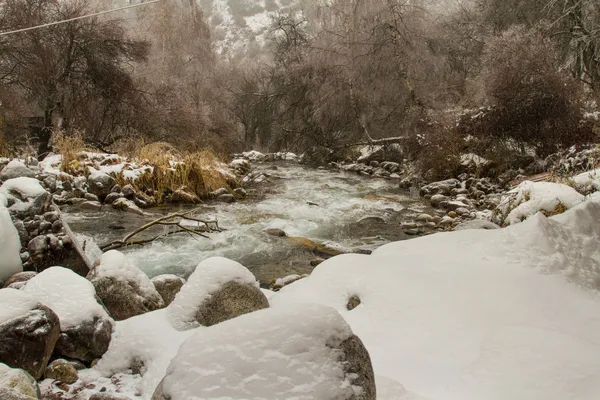 Paysage hivernal pittoresque d'arbres gelés et de rivières, Almaty, Kazakhstan, Asie — Photo