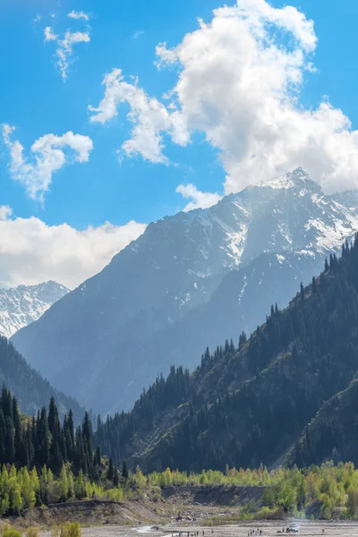 Natureza do abeto e montanhas verdes e céu azul em Almaty, Cazaquistão — Fotografia de Stock