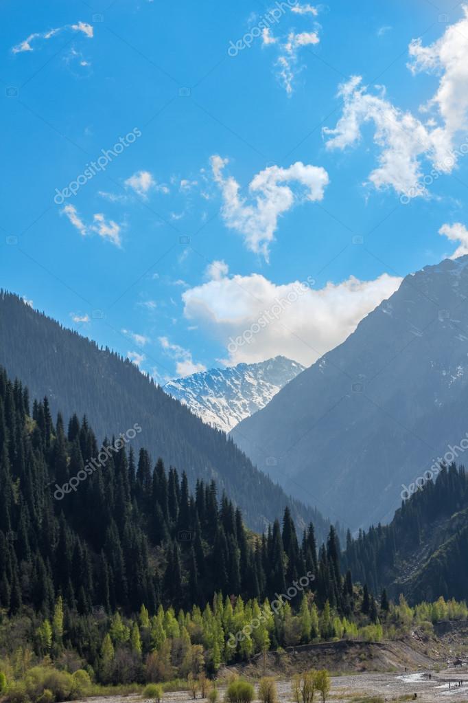 Natur Der Tannen Und Grunen Berge Und Blauer Himmel In Almaty Kasachstan Stockfotografie Lizenzfreie Fotos C Vitmarkov 24694239 Depositphotos