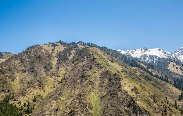 Panorama de la nature montagnes vertes, neige et ciel bleu à Chimbulak Almaty, Kazakhstan — Photo