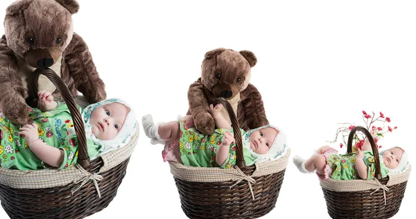 Collage of baby girl in basket with toy bear isolated on white background The concept of childhood and holiday — Stock Photo, Image