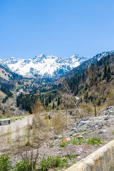 Naturskön utsikt i Kapstaden, Taffelberget, Sydafrika från en antenn perspektiv — Stockfoto