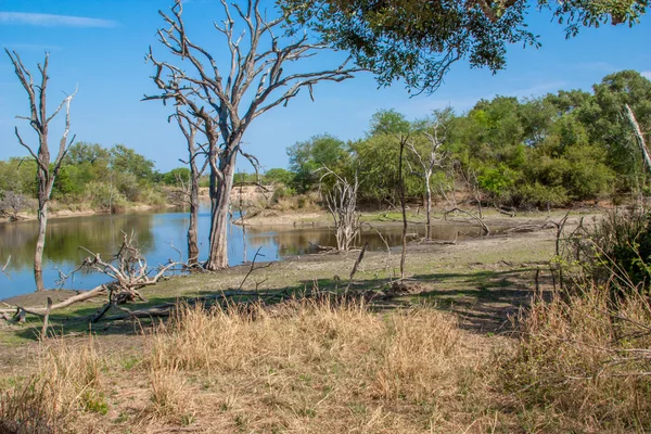Paisagem sul-africana e rio em UAR, parque de Kruger — Fotografia de Stock