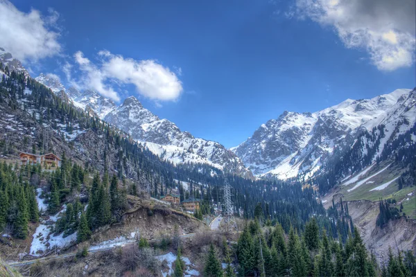 Панорама природы ели и зеленые горы, снег и голубое небо в Чимбулаке Алматы, Казахстан — стоковое фото