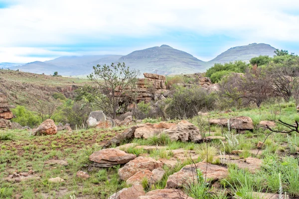 布莱德河峡谷、 南非、 姆普马兰加、 夏天风景、 红色的岩石和水 — 图库照片