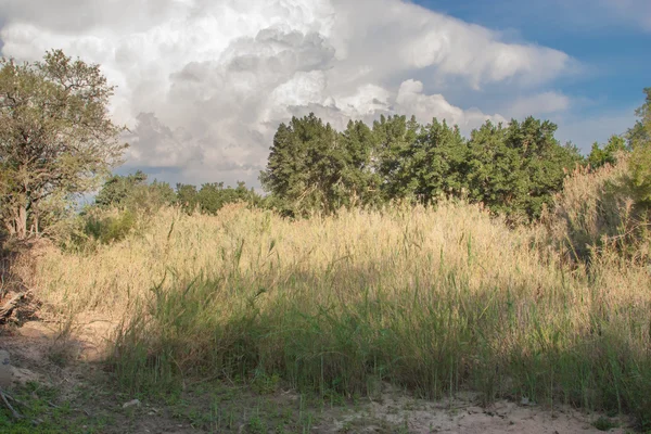 Paesaggio sudafricano in UAR, parco di Kruger — Foto Stock