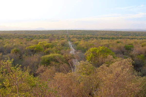 Zuid-Afrikaanse landschap in uar, van kruger park — Stockfoto