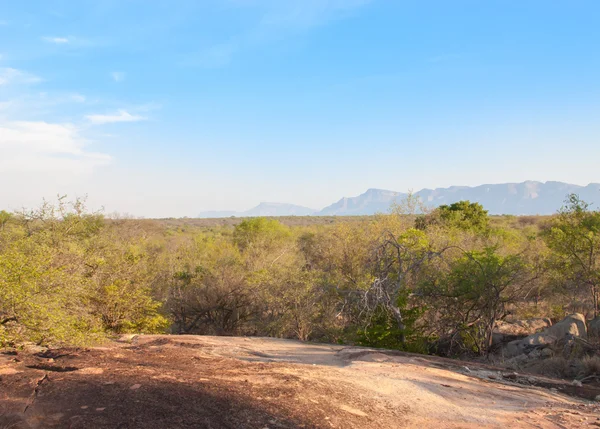 Paisagem sul-africana em UAR, parque de Kruger — Fotografia de Stock