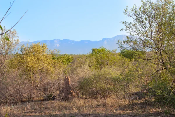 Paisaje sudafricano en UAR, Parque Kruger — Foto de Stock