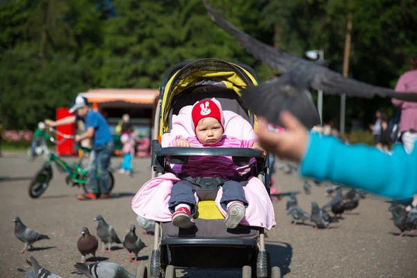 Ragazza bambina che gioca con le colombe nella strada della città — Foto Stock