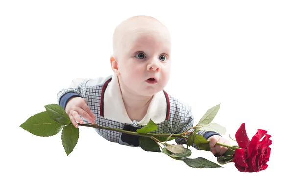 Menino adorável com flor rosa isolada no fundo branco. Bebês e crianças — Fotografia de Stock