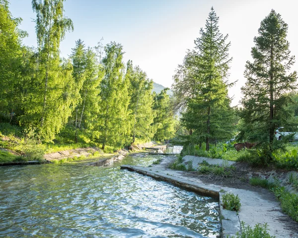 Doğanın yemyeşil ağaçlar ve Nehri yakınında medeo yaz, Almatı, Kazakistan, Asya'da çağlayan — Stok fotoğraf