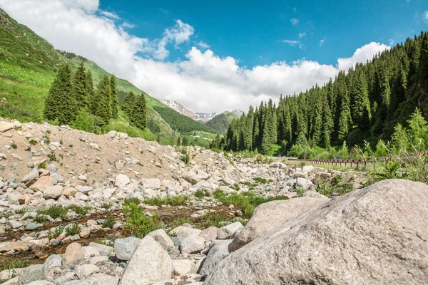 Carretera en Big Almaty Lake, montañas verdes naturales y cielo azul en Almaty, Kazajstán, Asia en verano — Foto de Stock