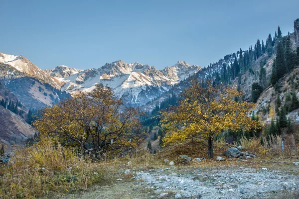 Panorama della natura montagne verdi, neve e cielo blu a Chimbulak Almaty, Kazakistan — Foto Stock