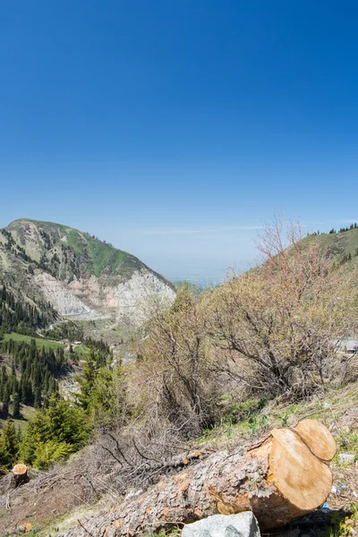 Natureza de montanhas, árvores verdes e céu azul, estrada em Medeo em Almaty, Cazaquistão, Ásia no verão — Fotografia de Stock