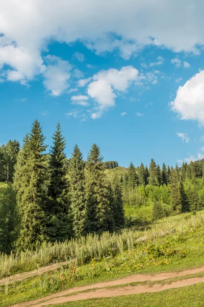 Naturaleza de árboles verdes y cielo azul, camino en Medeo en Almaty, Kazajstán, Asia en verano —  Fotos de Stock