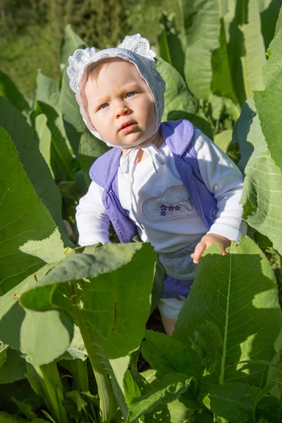 Entzückendes kleines Mädchen im grünen Gras im Sommer, Almaty, Kasachstan — Stockfoto