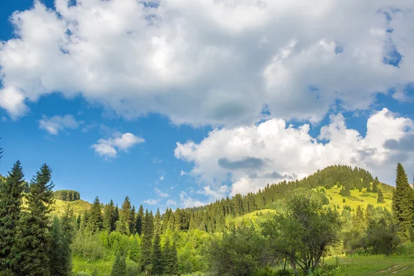 Nature of green trees and blue sky, near Medeo in Almaty, Kazakhstan, Asia at summer — стоковое фото