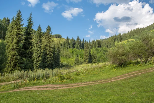 Povaha zelených stromů a modrá obloha, silnice na medeo v almaty, Kazachstán, Asii na léto — Stock fotografie