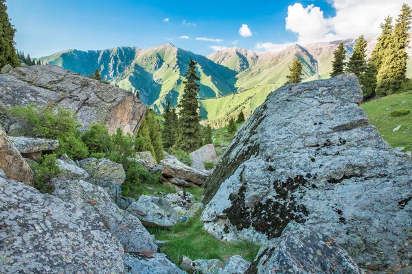 Natuur in de buurt van grote almaty lake, tien shan-gebergte in almaty, kazakhstan, Azië op zomer — Stockfoto