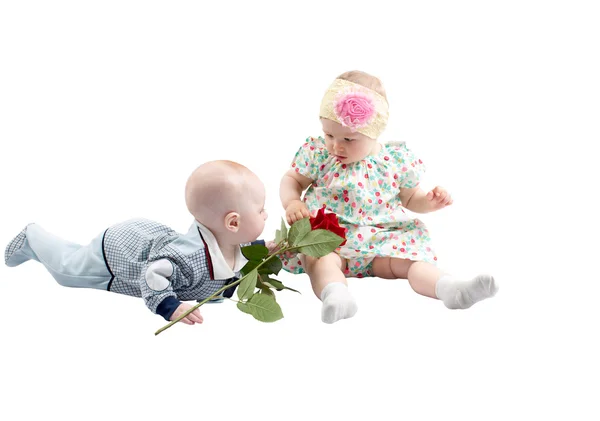 Pojke presenterar röd ros blomma till söta barn flicka isolerad på vit bakgrund. presentkort på semester. — Stockfoto