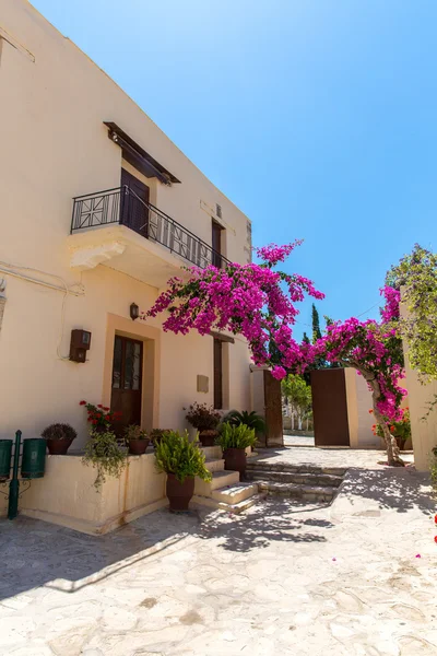 Rami di fiori bougainvillea rosa cespuglio sul balcone in strada, Creta, Grecia — Foto Stock