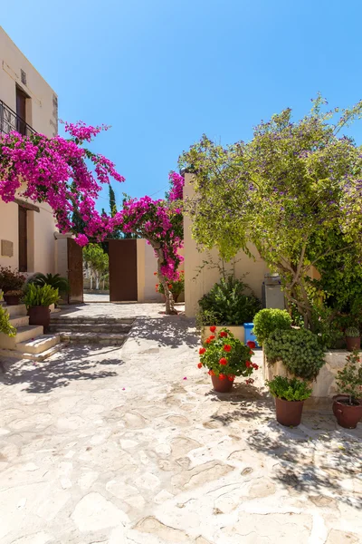 Ramas de flores buganvilla rosa arbusto en Balcón en la calle, Creta, Grecia —  Fotos de Stock