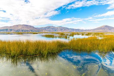 Lake titicaca, Güney Amerika, peru ve Bolivya sınırında yer