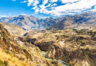 colca Kanyonu, peru, Güney Amerika. İnka tarım teraslarının cliff ve havuz ile inşa etmek. dünyanın en derin kanyonlar biri