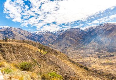 colca Kanyonu, peru, Güney Amerika. İnka tarım teraslarının cliff ve havuz ile inşa etmek. dünyanın en derin kanyonlar biri