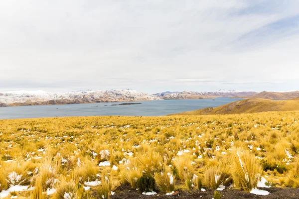 Δρόμο Κούσκο-Πούνο, Λίμνη Τιτικάκα, Περού, Νότια Αμερική. η Ιερή Κοιλάδα των Ίνκας. θεαματικότητα της χιονισμένα βουνά και το γαλάζιο του ουρανού — Φωτογραφία Αρχείου