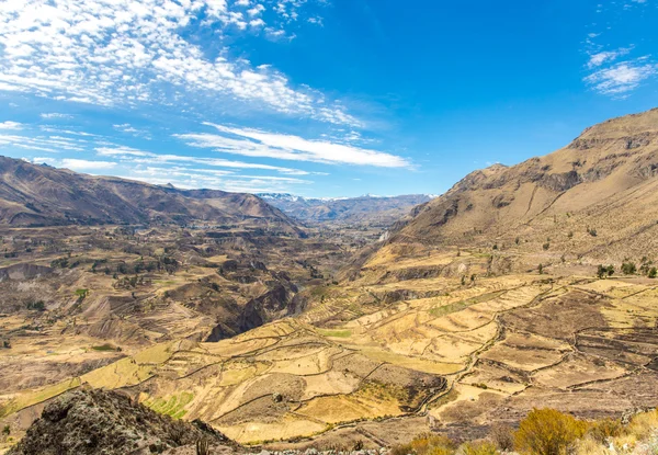 Colca Canyon, Perù, Sud America. Gli Incas per costruire terrazze agricole con stagno e scogliera. Uno dei canyon più profondi del mondo — Foto Stock